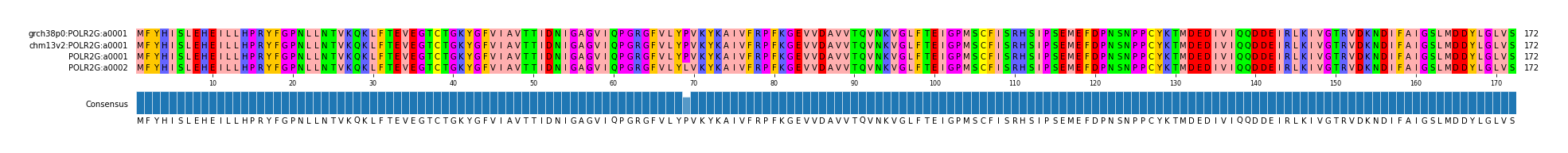 Multiple Alignments (by translate haplotype frequency)