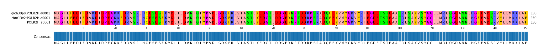 Multiple Alignments (by translate haplotype similarity)