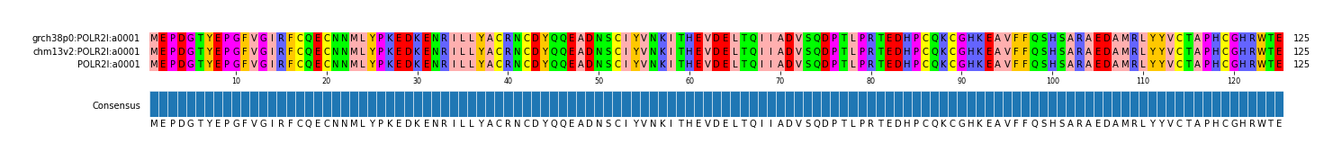 Multiple Alignments (by translate haplotype similarity)