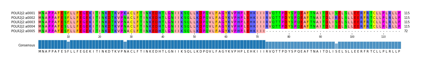 Multiple Alignments (by translate haplotype frequency)