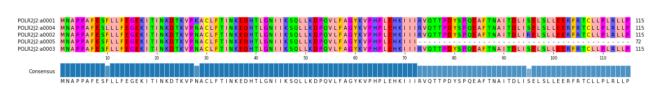 Multiple Alignments (by translate haplotype similarity)