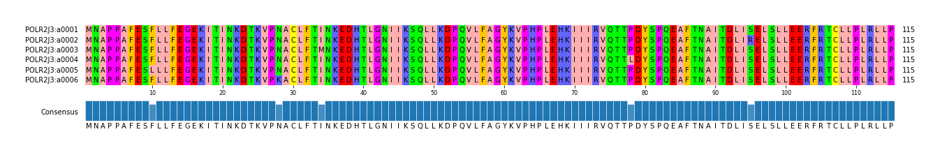 Multiple Alignments (by translate haplotype frequency)
