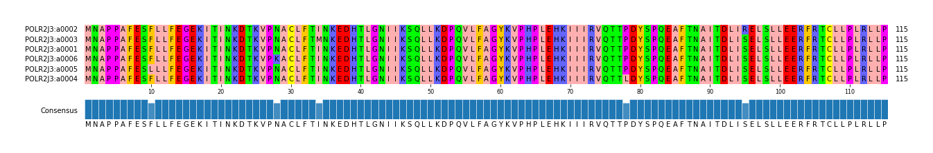Multiple Alignments (by translate haplotype similarity)