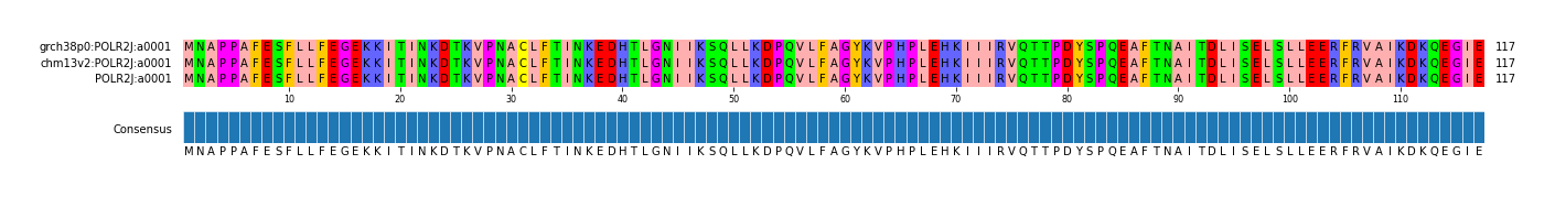 Multiple Alignments (by translate haplotype frequency)