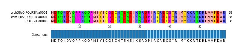 Multiple Alignments (by translate haplotype similarity)
