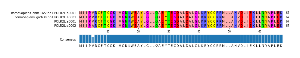 Multiple Alignments (by translate haplotype frequency)