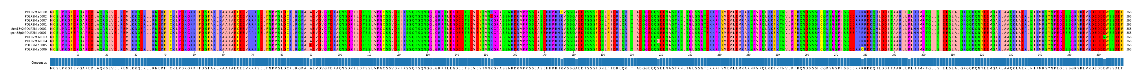 Multiple Alignments (by translate haplotype similarity)