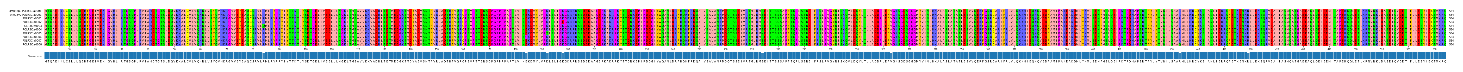 Multiple Alignments (by translate haplotype frequency)