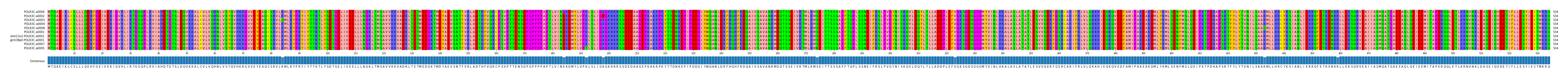 Multiple Alignments (by translate haplotype similarity)