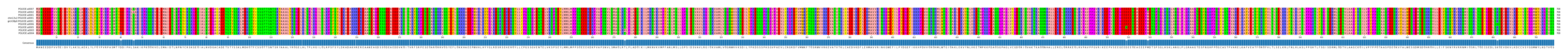 Multiple Alignments (by translate haplotype similarity)