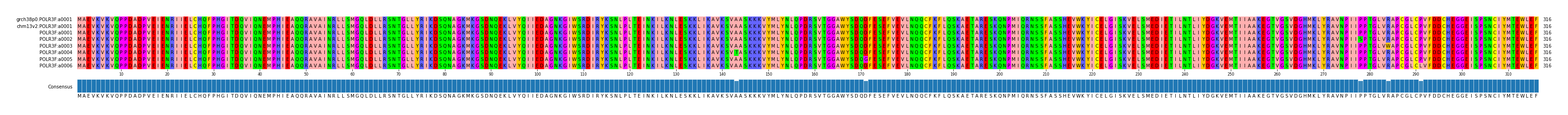 Multiple Alignments (by translate haplotype frequency)