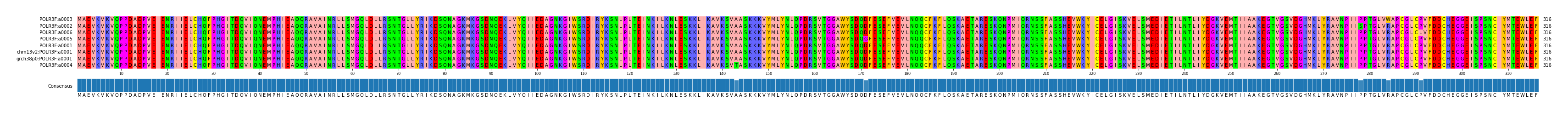 Multiple Alignments (by translate haplotype similarity)