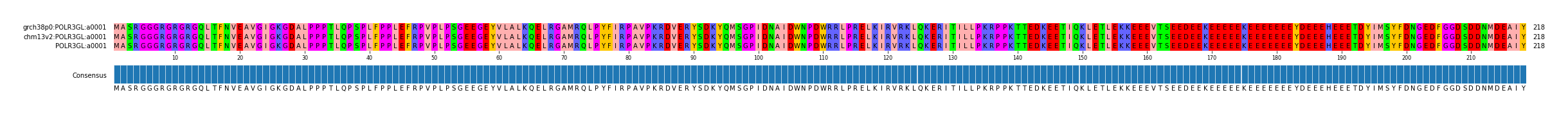 Multiple Alignments (by translate haplotype similarity)