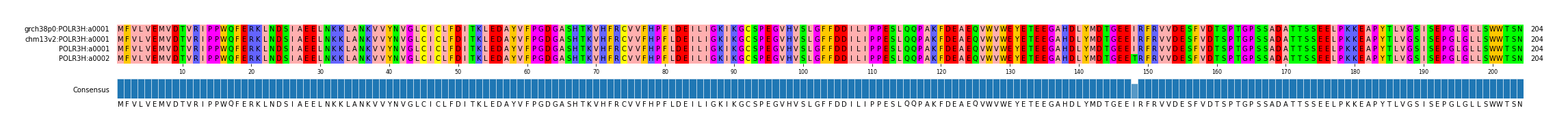 Multiple Alignments (by translate haplotype similarity)