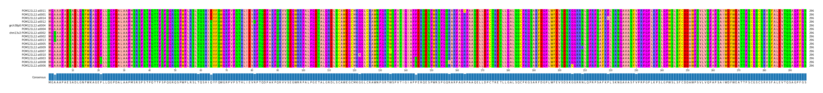 Multiple Alignments (by translate haplotype similarity)