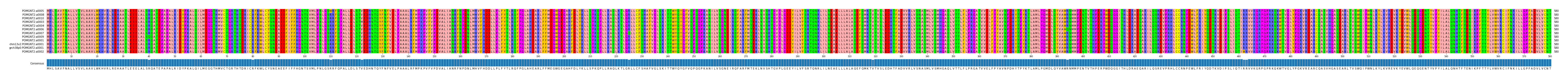 Multiple Alignments (by translate haplotype similarity)