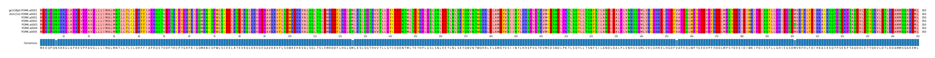 Multiple Alignments (by translate haplotype frequency)