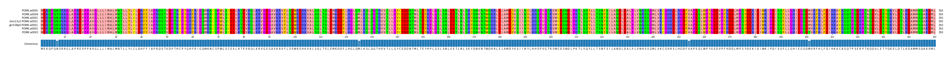 Multiple Alignments (by translate haplotype similarity)