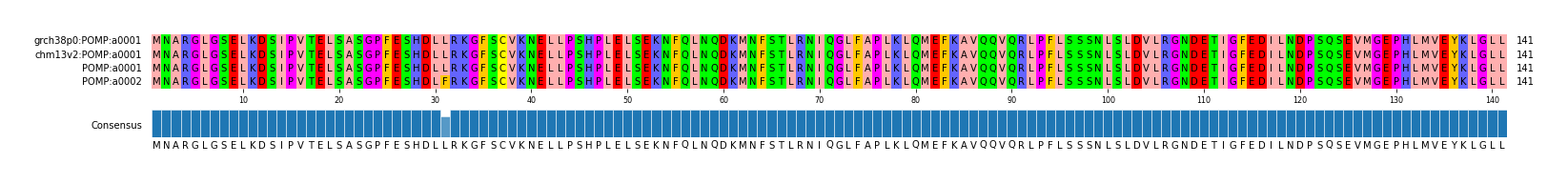 Multiple Alignments (by translate haplotype similarity)