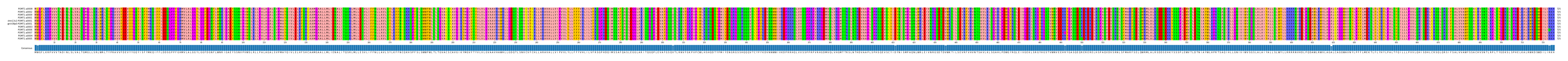 Multiple Alignments (by translate haplotype similarity)