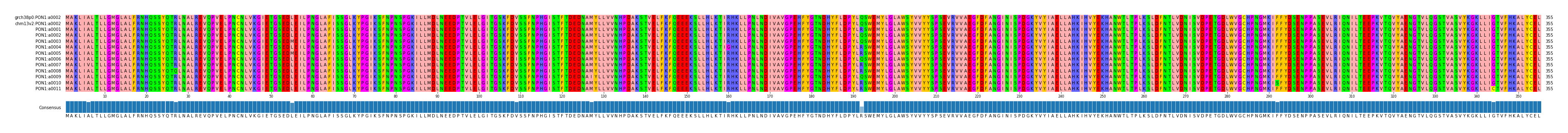 Multiple Alignments (by translate haplotype frequency)