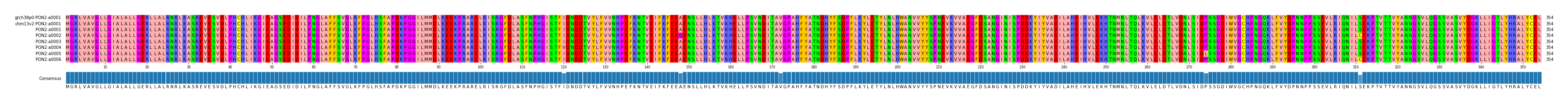 Multiple Alignments (by translate haplotype frequency)