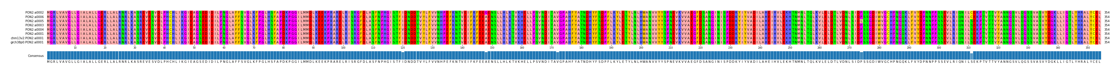 Multiple Alignments (by translate haplotype similarity)