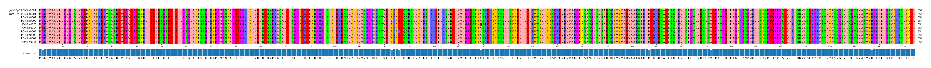 Multiple Alignments (by translate haplotype frequency)