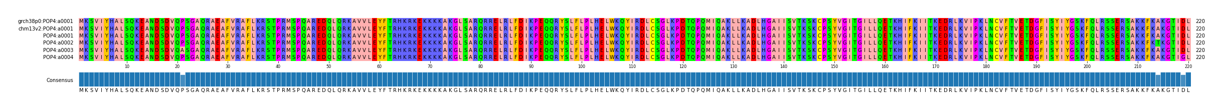 Multiple Alignments (by translate haplotype frequency)