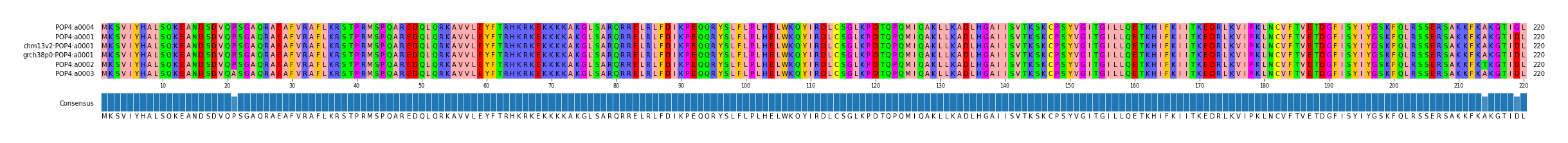 Multiple Alignments (by translate haplotype similarity)