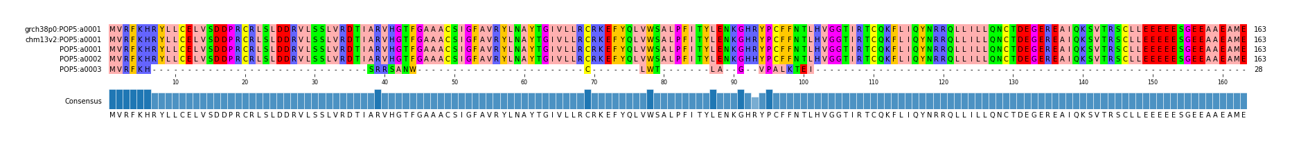 Multiple Alignments (by translate haplotype similarity)