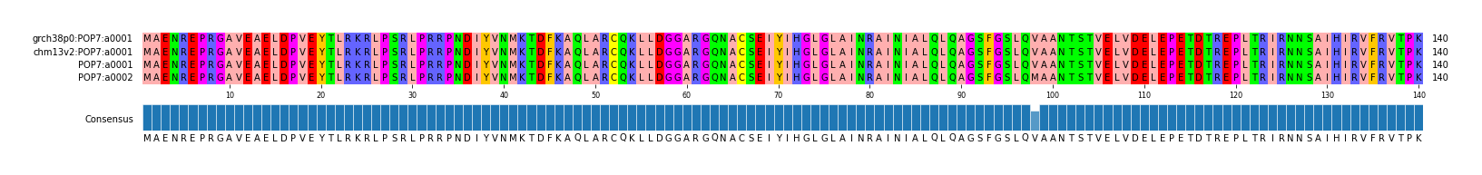 Multiple Alignments (by translate haplotype similarity)