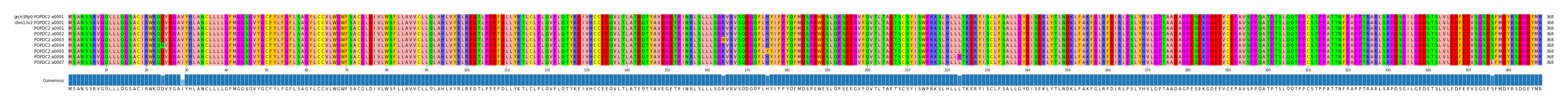 Multiple Alignments (by translate haplotype frequency)