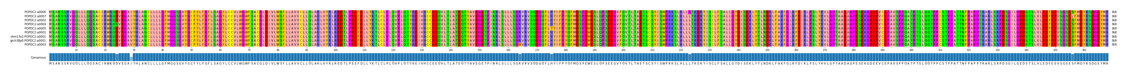 Multiple Alignments (by translate haplotype similarity)