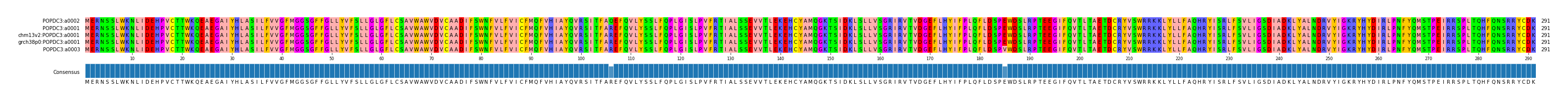 Multiple Alignments (by translate haplotype similarity)