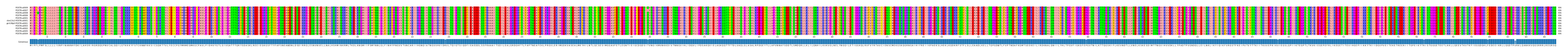 Multiple Alignments (by translate haplotype similarity)