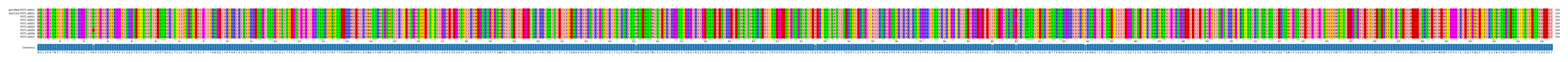 Multiple Alignments (by translate haplotype frequency)