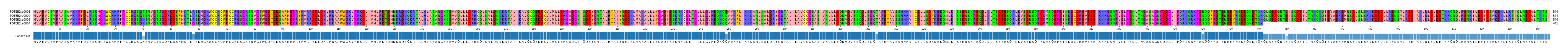 Multiple Alignments (by translate haplotype frequency)