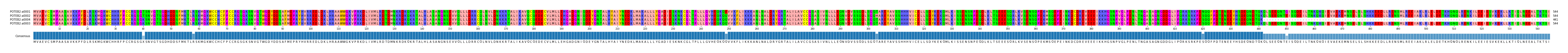 Multiple Alignments (by translate haplotype similarity)