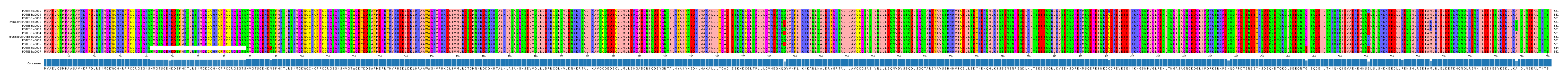Multiple Alignments (by translate haplotype similarity)