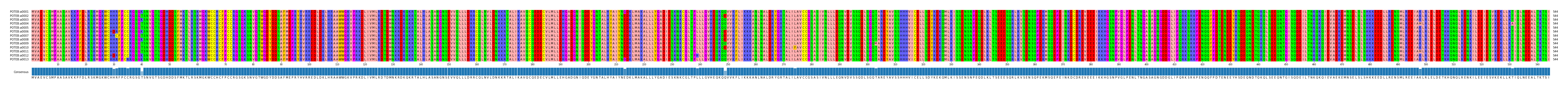 Multiple Alignments (by translate haplotype frequency)