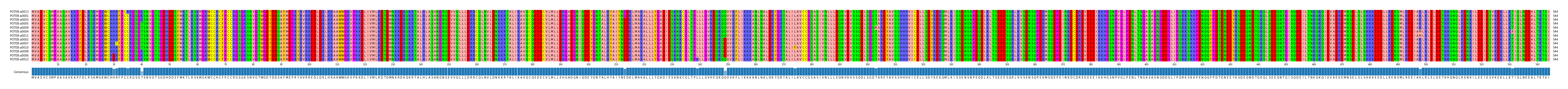 Multiple Alignments (by translate haplotype similarity)