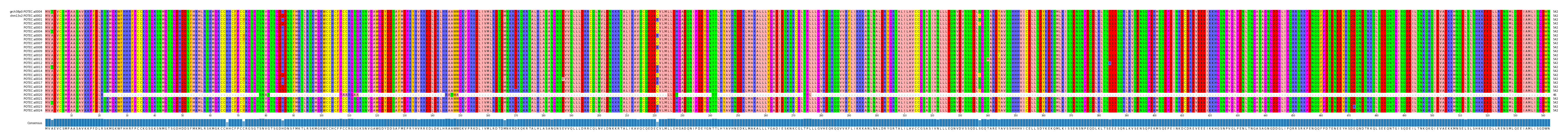 Multiple Alignments (by translate haplotype frequency)