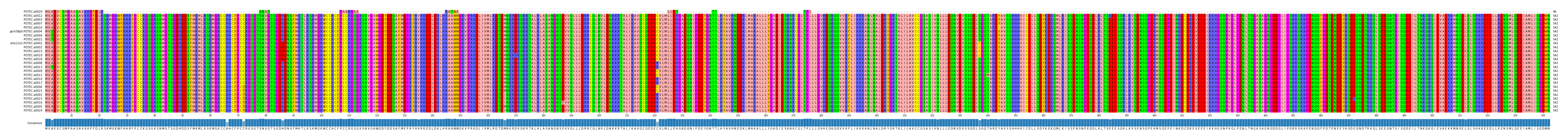 Multiple Alignments (by translate haplotype similarity)