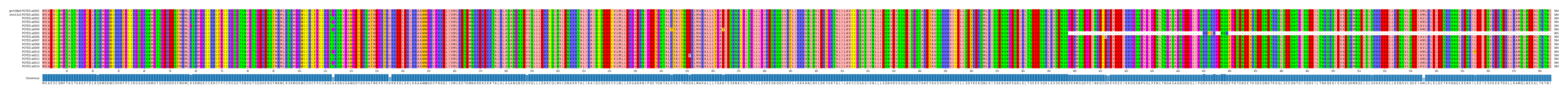 Multiple Alignments (by translate haplotype frequency)