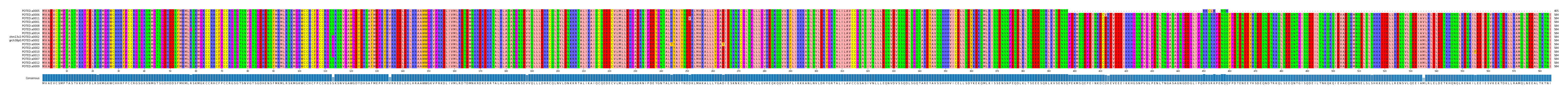 Multiple Alignments (by translate haplotype similarity)