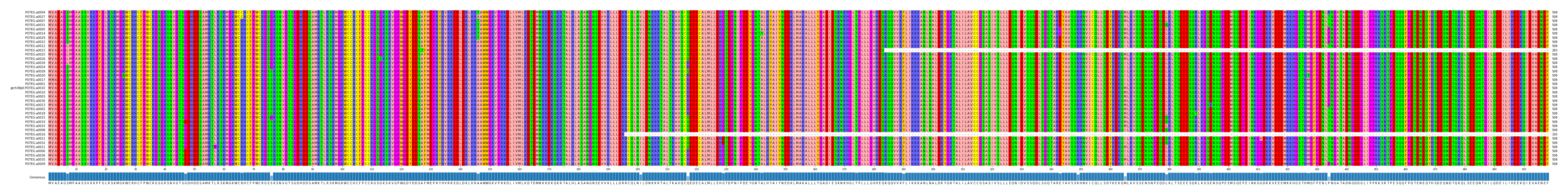 Multiple Alignments (by translate haplotype similarity)