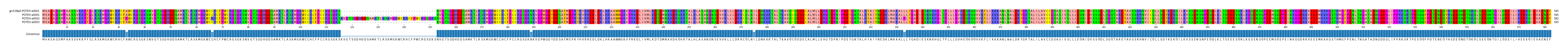 Multiple Alignments (by translate haplotype frequency)