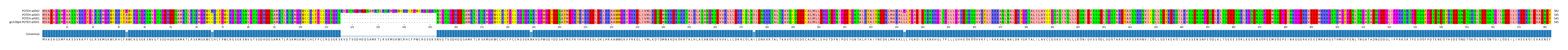 Multiple Alignments (by translate haplotype similarity)