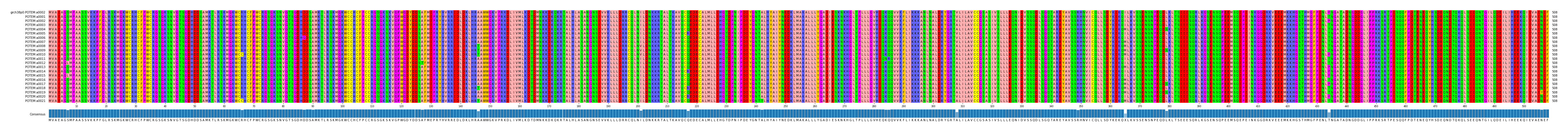 Multiple Alignments (by translate haplotype frequency)